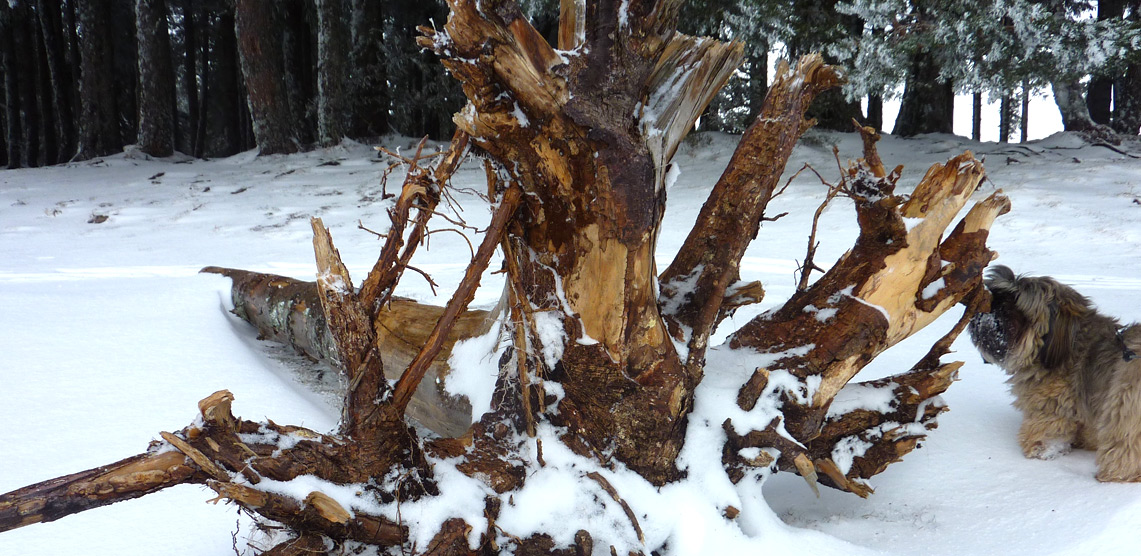 lac de servieres hiver