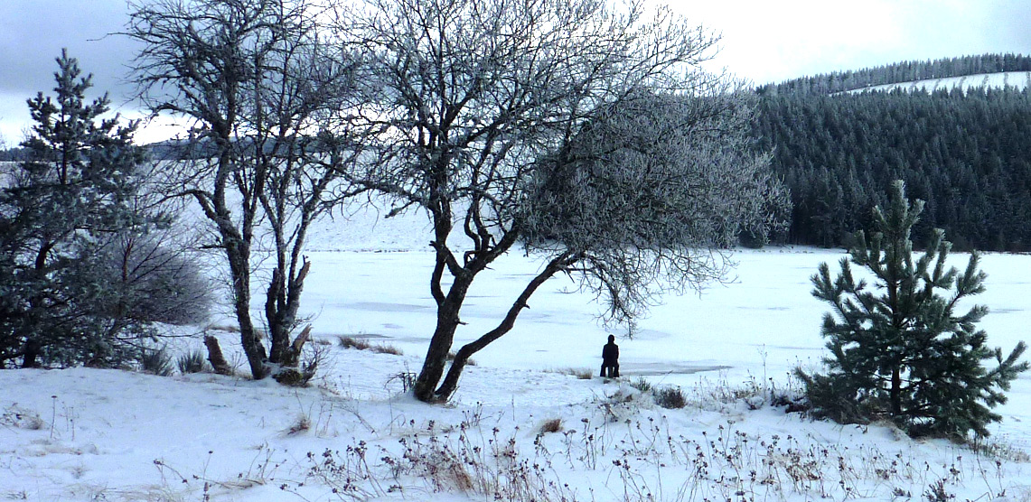 lac de serviere gelé