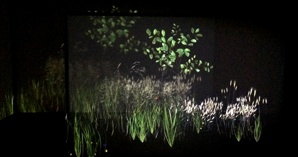 Exposition Verdures - Paysage dpi