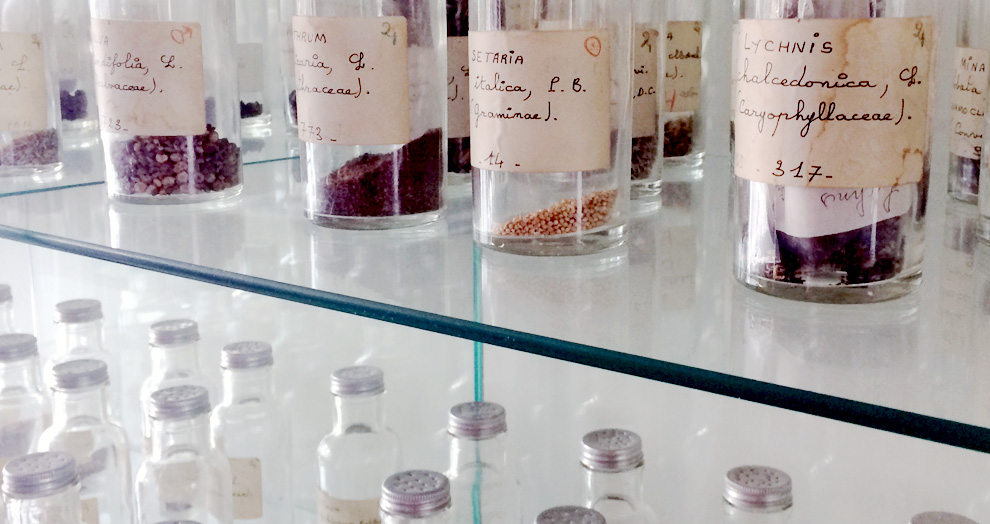 graineterie jardin botanique clermont