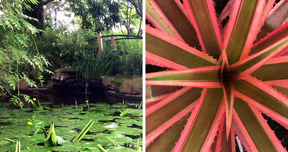 jardin botanique clermont