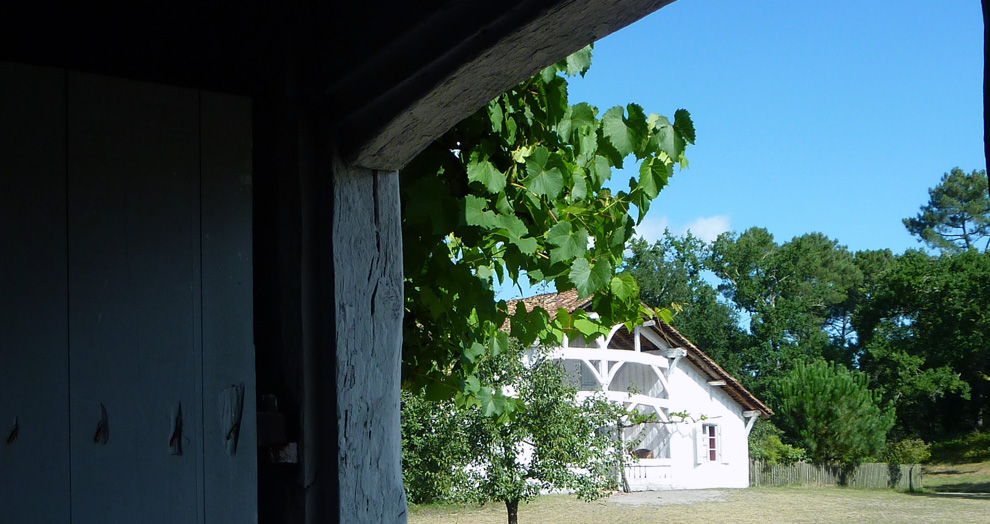 écomusée de Marquèze