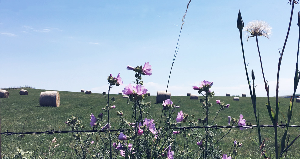 festival Art Air 2018 pré