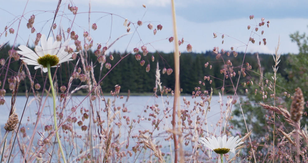 festival Art Air 2018 lac bourdouze