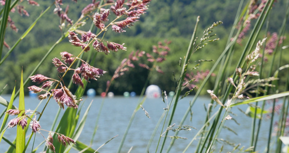 perles du lac, horizons sancy