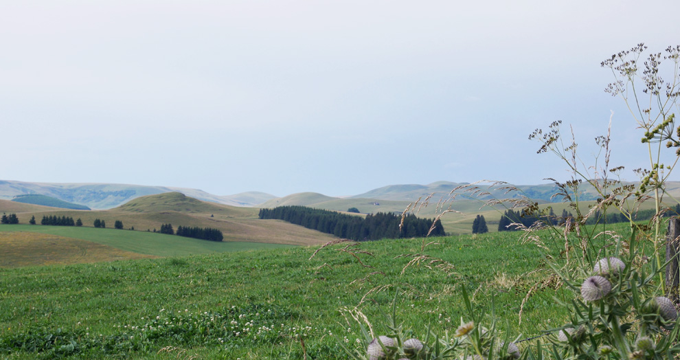 festival Art Air 2018 cezallier