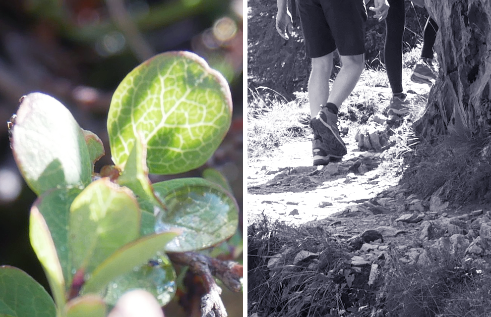 Rando chamonix détails