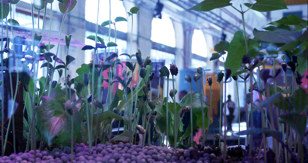 exposition design not stuff, biennale de design exposition design not stuff, biennale de design