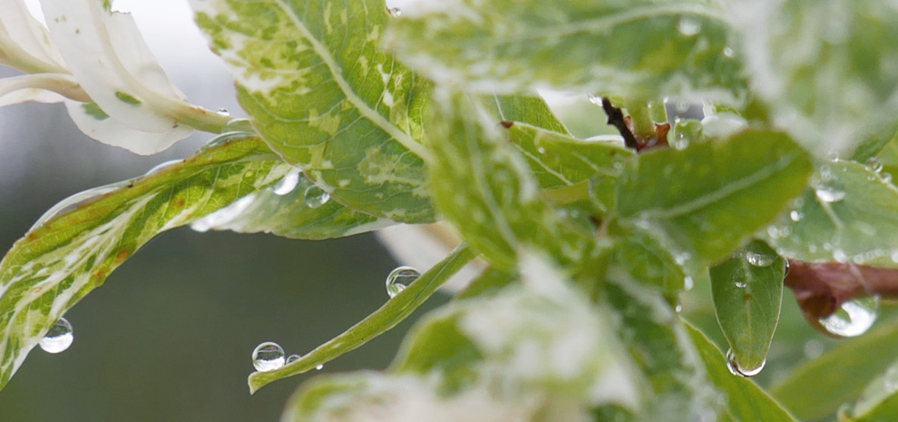 pluie fine a espalion