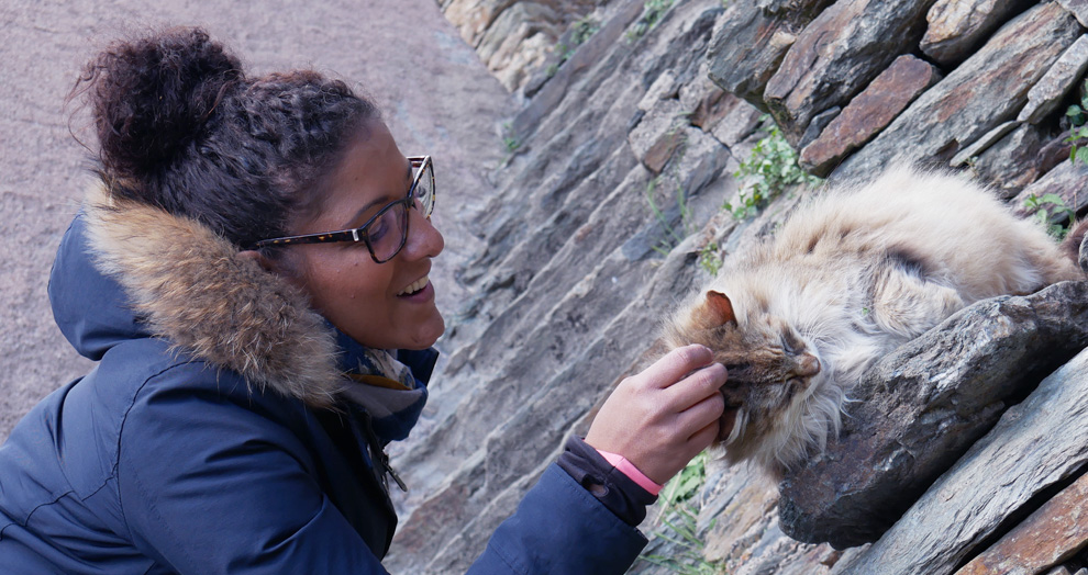 chat a conques