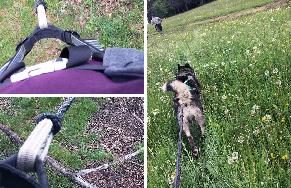 canirando en ardèche