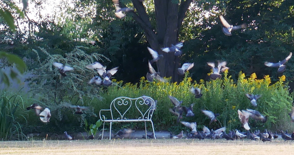 parc manoir de la manantie