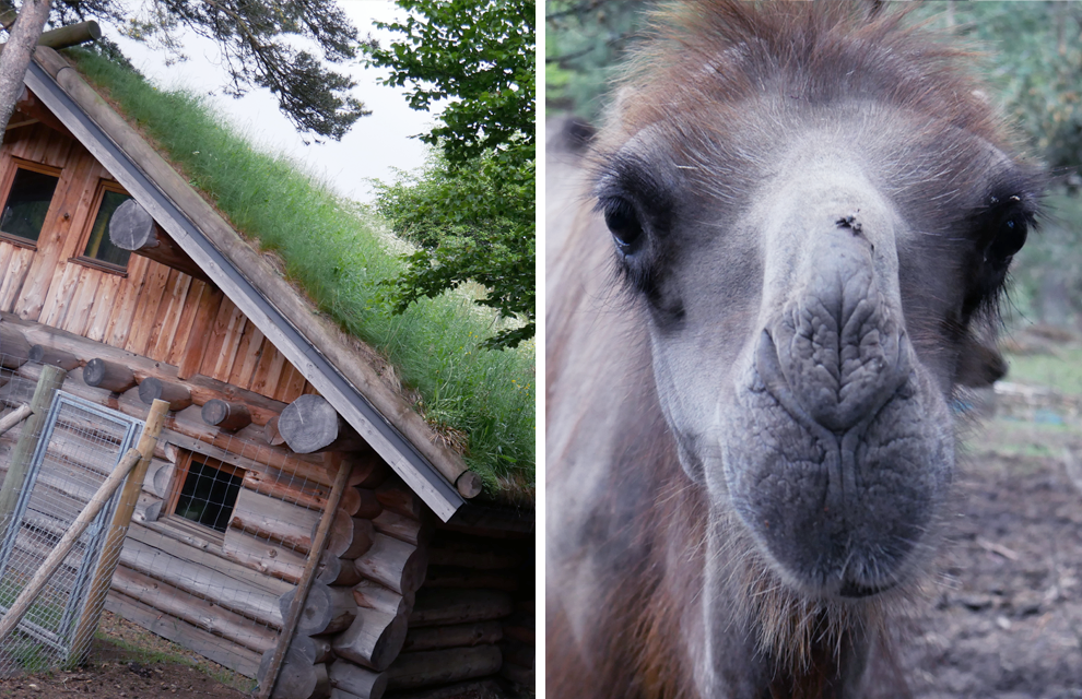 chalet la vallée d'amarok