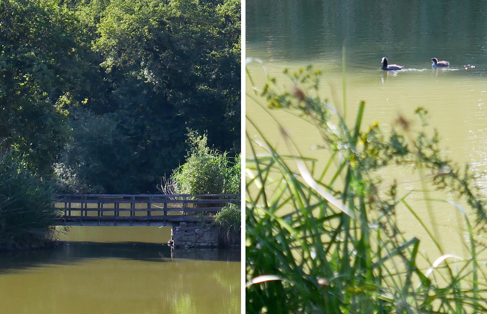 etang de l'isle Lezoux