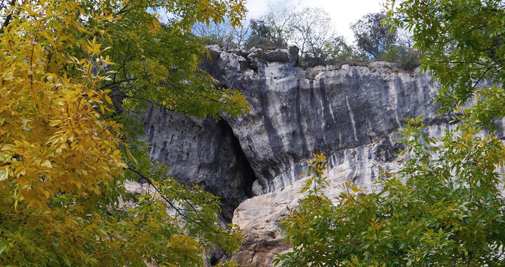 abris de laugerie basse