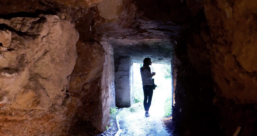 abris de laugerie basse