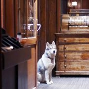 refuge du montenvers