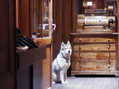 refuge du montenvers