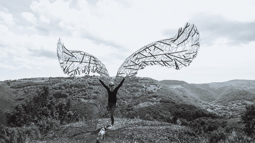 I believe I can fly . Land art Horizons Sancy 2021