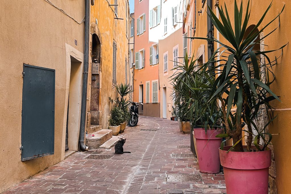 ruelle hyères