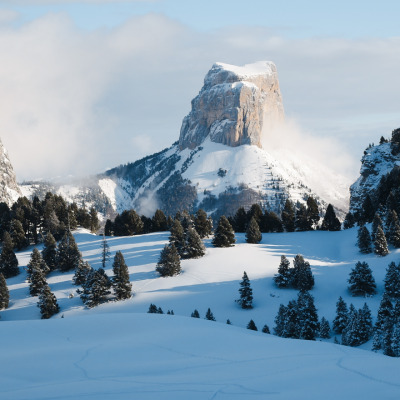 pas de l'aiguille sous la neige
