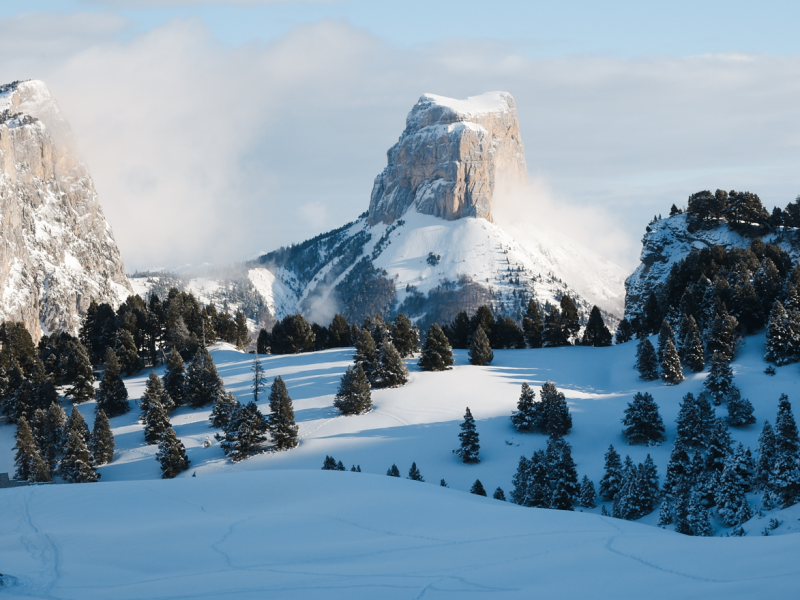 pas de l'aiguille sous la neige