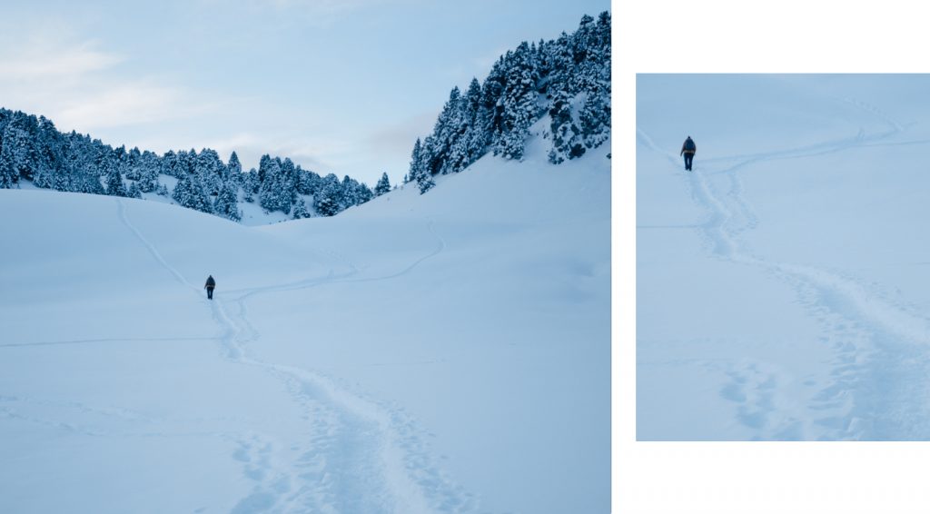 Ambiance hivernale sur le plateau du Vercors en raquettes