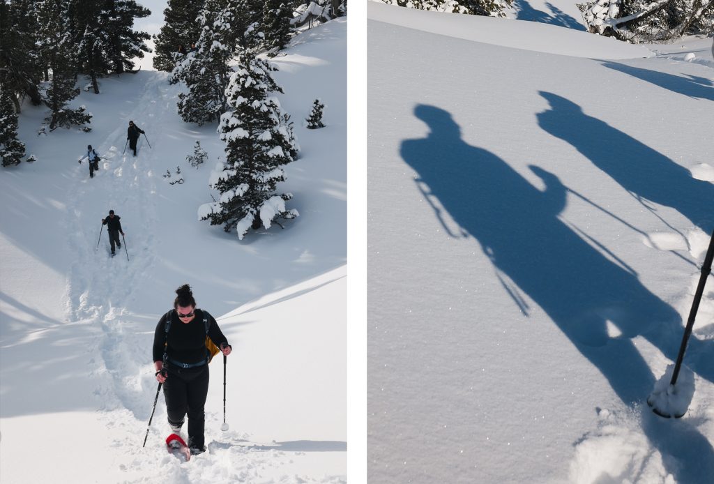 Groupe en trek hiver Vercors progressant en raquettes